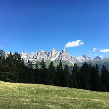 Il Finferlo Villa Bellamonte Luaran gambar