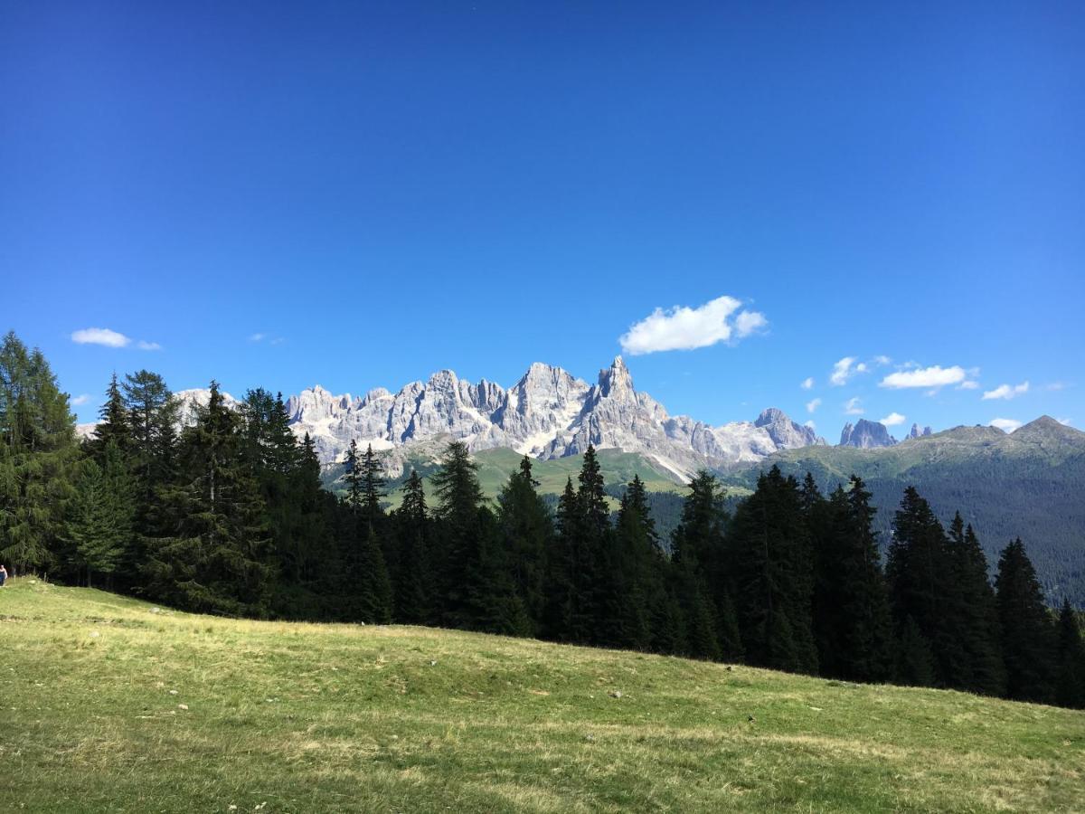 Il Finferlo Villa Bellamonte Luaran gambar